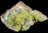 Yellow-Green, Pyromorphite Crystal Cluster - China #45740-2